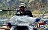 Laut3