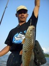 Laut4